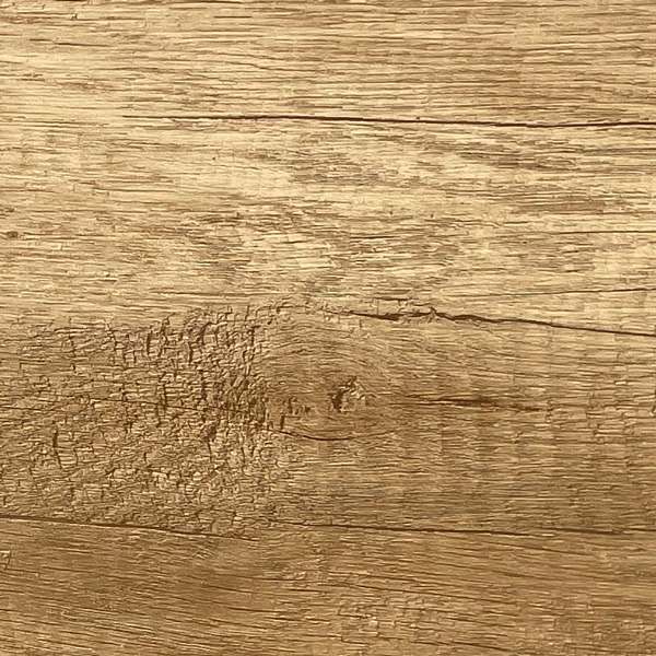 desert oak